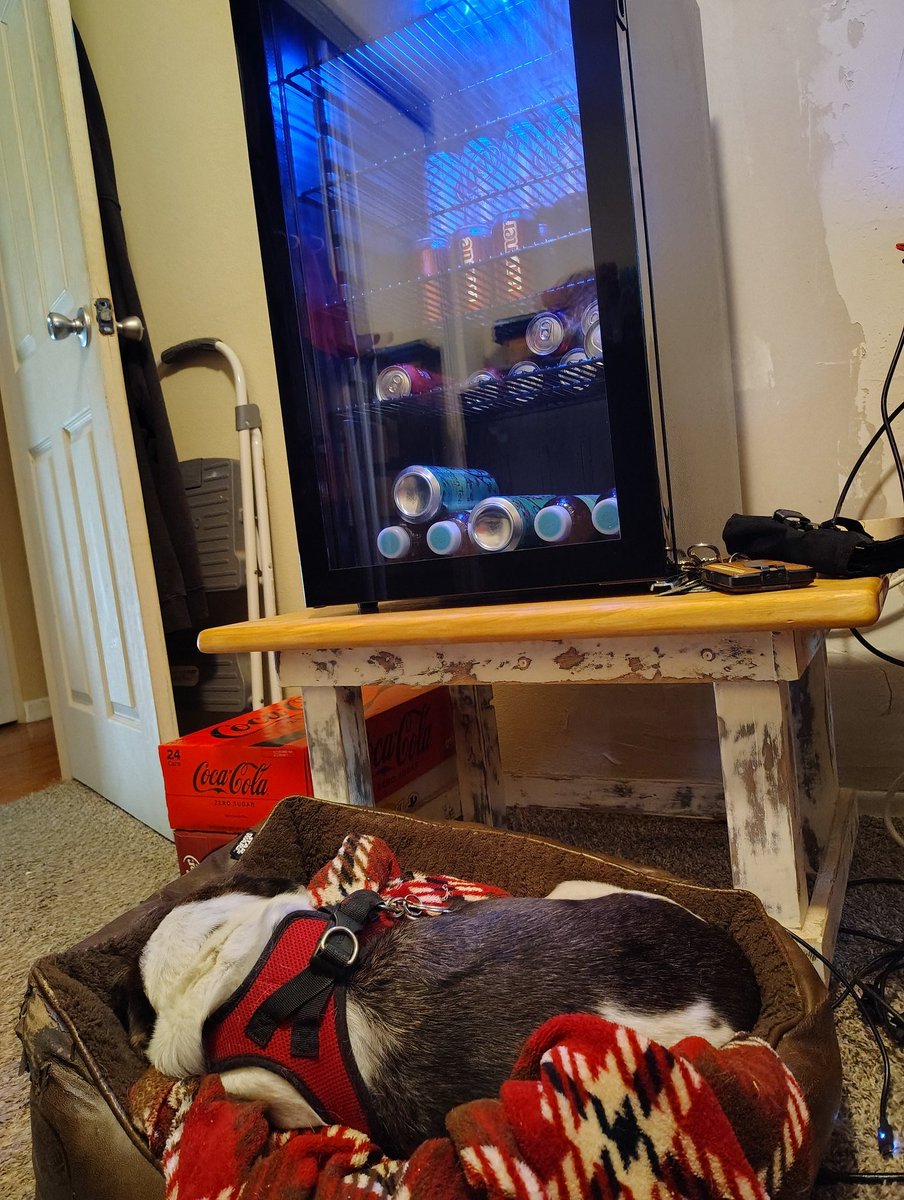 PenWrangler's tweet image. She guards the drinks.