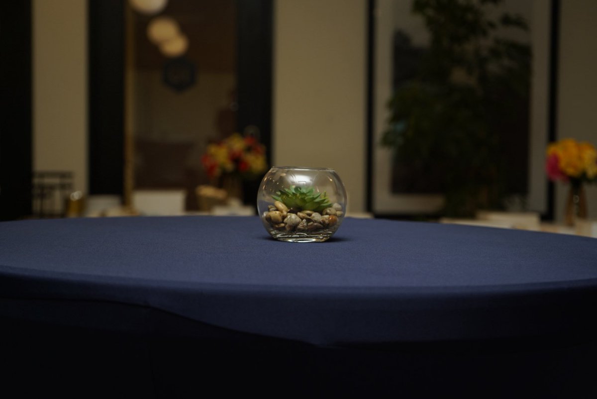 The stage is set, the vibes are right, and the glasses are chilling. 🥂

PLP Canada Launch is loading… and trust us, you’ll want to be in the room for this.

#PLPCanadaLaunch