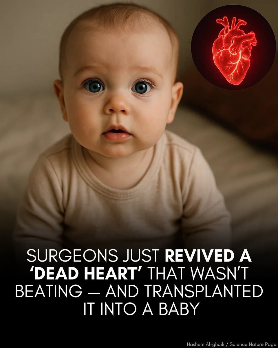JaysonDC123's tweet image. Surgeons just revived a ‘dead’ heart — and then successfully transplanted it into a baby.

In a medical breakthrough, surgeons at Duke University successfully revived a heart that had stopped beating for over five minutes—and transplanted it into a three-month-old baby, saving…
