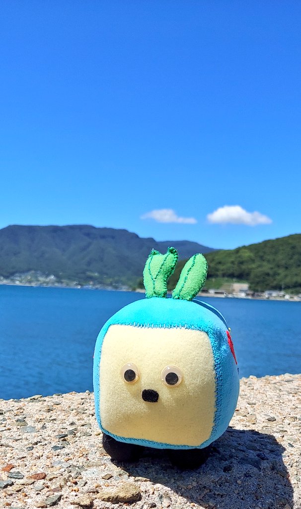 ☆小島☆ 小島監督最新情報】3人目はフラジャイル？新たなシルエットは