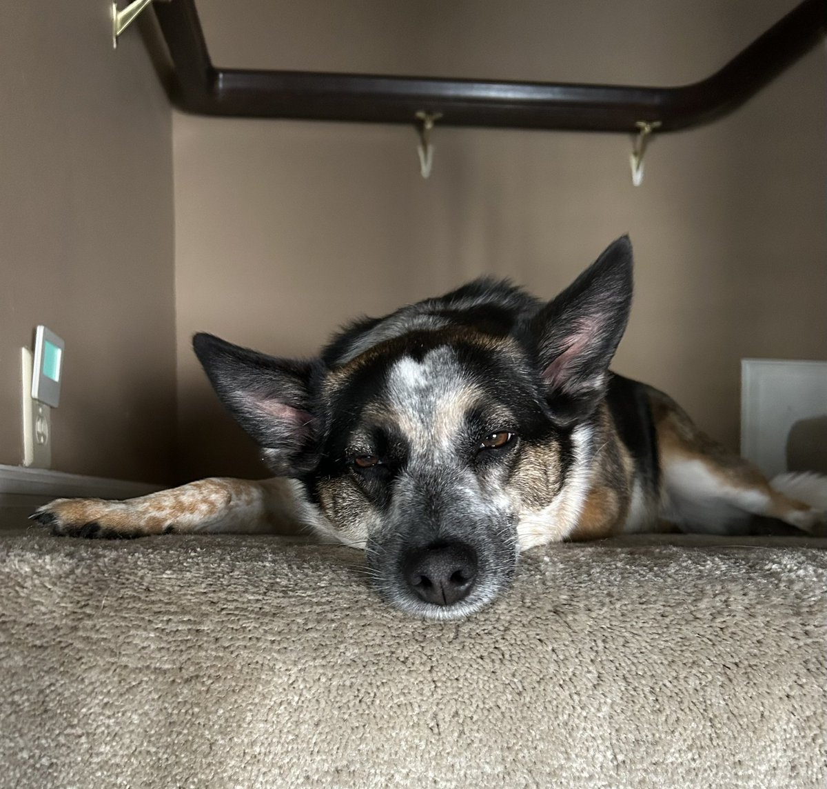 Saturday nap time 😴