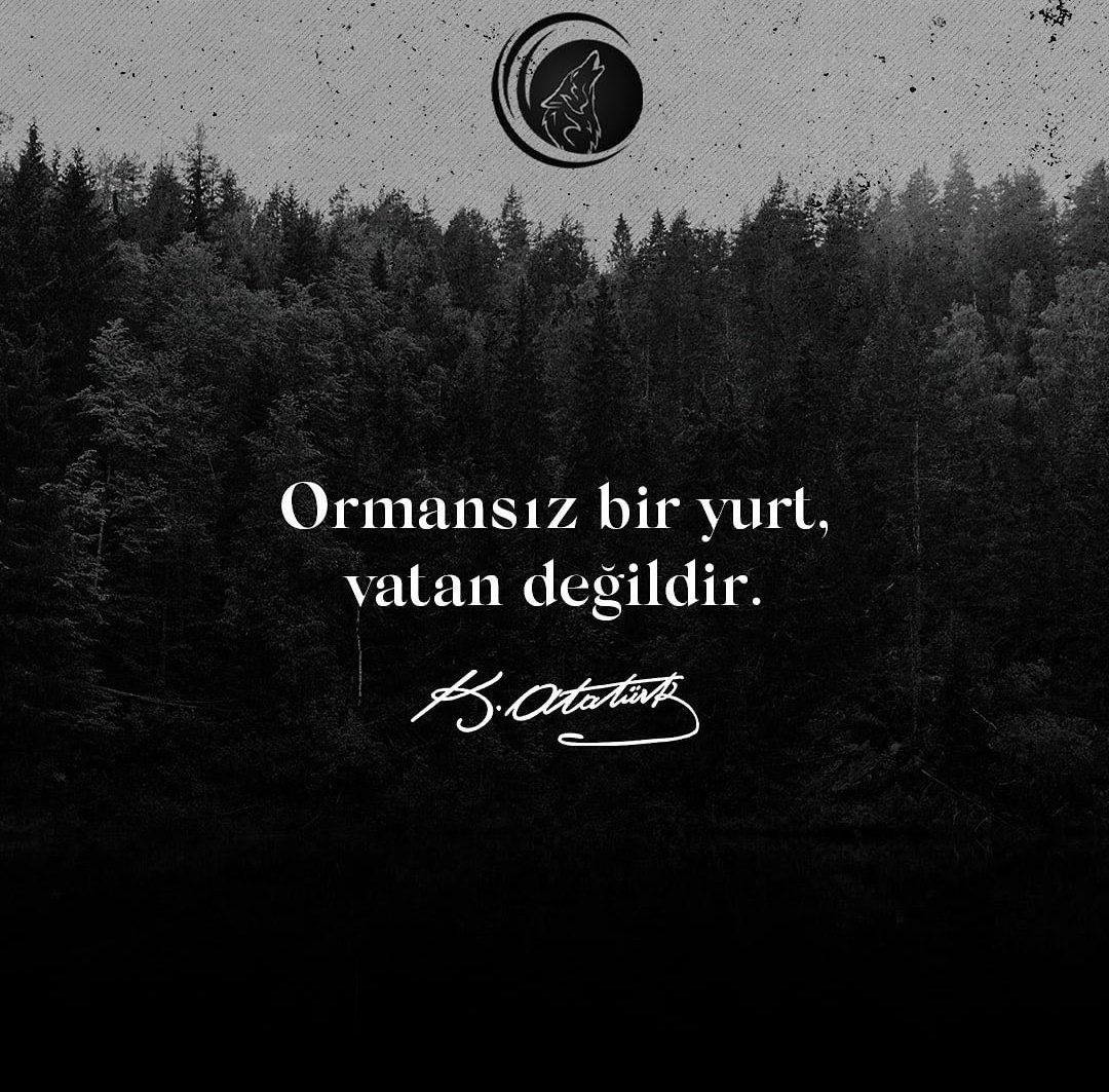 Ormanını yakıyorlar ey Türk milleti: 

“Ormansız bir yurt, vatan değildir.”

Mustafa Kemal Atatürk 

#GençAtsızlar