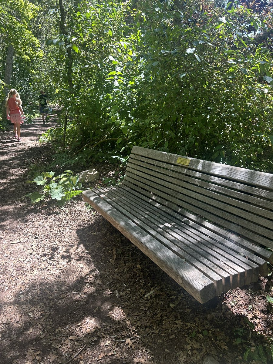 _maryrichards's tweet image. Just found out my daughter thinks these memorial benches are named after people who died while sitting on them.