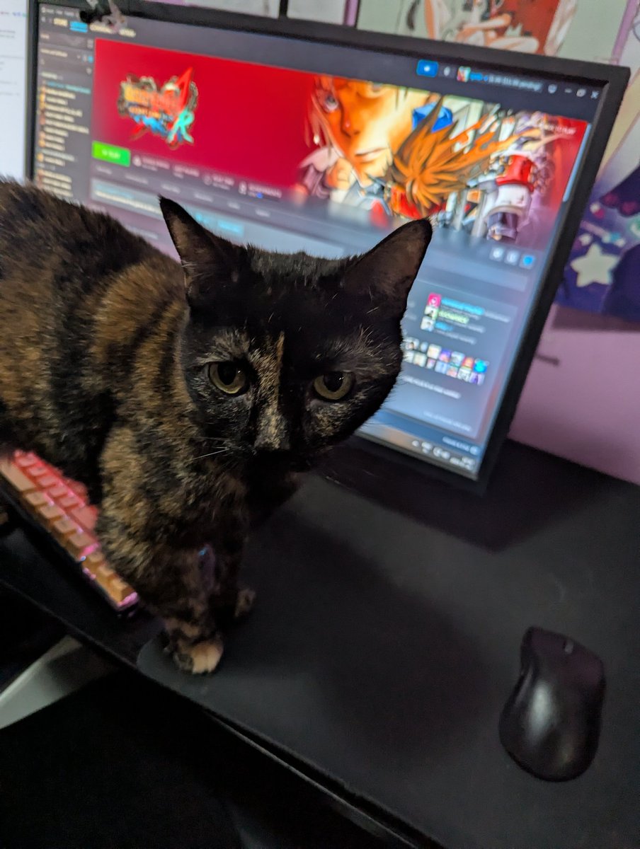 nyxiadash's tweet image. her ass is not playing.