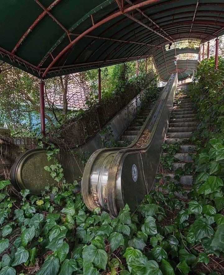 KerryBilicki's tweet image. Could be worse, our escalators could look like this. 😳
📸unknown