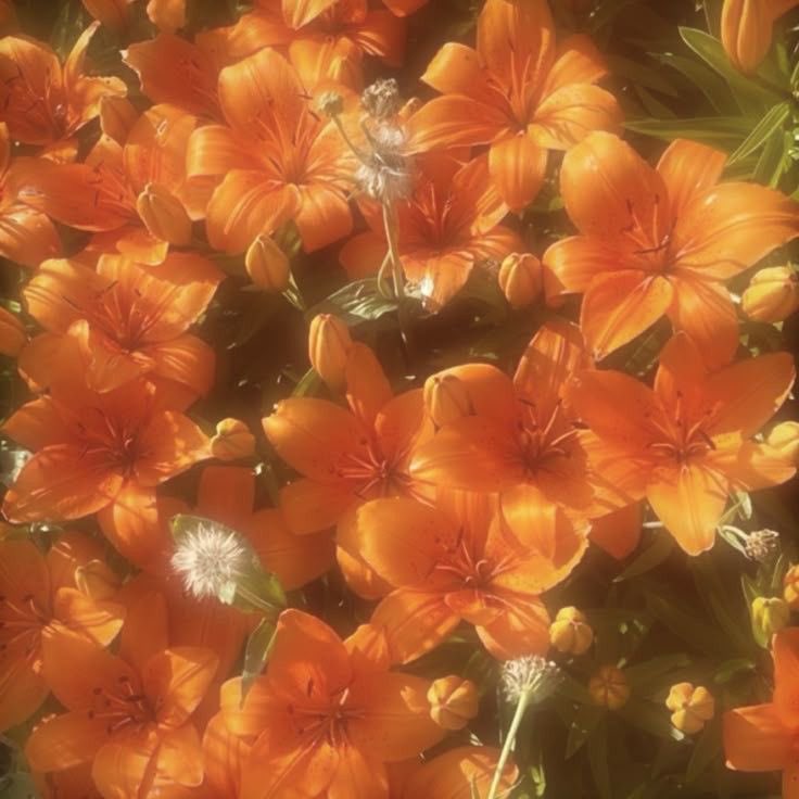 thatdeliveryb0y's tweet image. « 𝙸  𝚕𝚒𝚔𝚎  𝚢𝚘𝚞  𝚜𝚘  𝚌𝚘𝚖𝚎  𝚘𝚟𝚎𝚛  𝚛𝚒𝚐𝚑𝚝  𝚗𝚘𝚠 . 𝙸  𝚕𝚒𝚔𝚎  𝚢𝚘𝚞  𝚜𝚘  𝚌𝚘𝚖𝚎  𝚘𝚟𝚎𝚛  𝚛𝚒𝚐𝚑𝚝  𝚗𝚘𝚠   ! 𝙸   𝚕𝚒𝚔𝚎   𝚢𝚘𝚞  𝚌𝚘𝚖𝚎   𝚘𝚟𝚎𝚛   𝚛𝚒𝚐𝚑𝚝   𝚗𝚘𝚠 . »

#mvrp #forsakenrp #roblox
#forsaken #Elliot