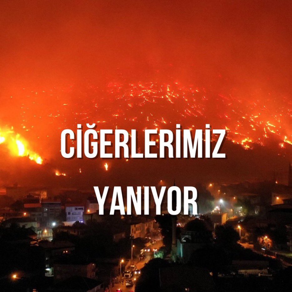 wander2ust's tweet image. #BursaYanıyor
#KarabükYanıyor