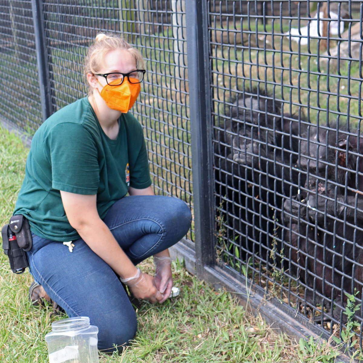 RHZoo's tweet image. 🐾 We’re spotlighting our amazing Keeper staff all week long! Have you been following along? Head to our Facebook or Instagram to see our daily posts. We just have today & tomorrow left to share the faces behind-the-scenes at #RollingHillsZoo! 💚 #NZKW2025 #NationalZookeeperWeek