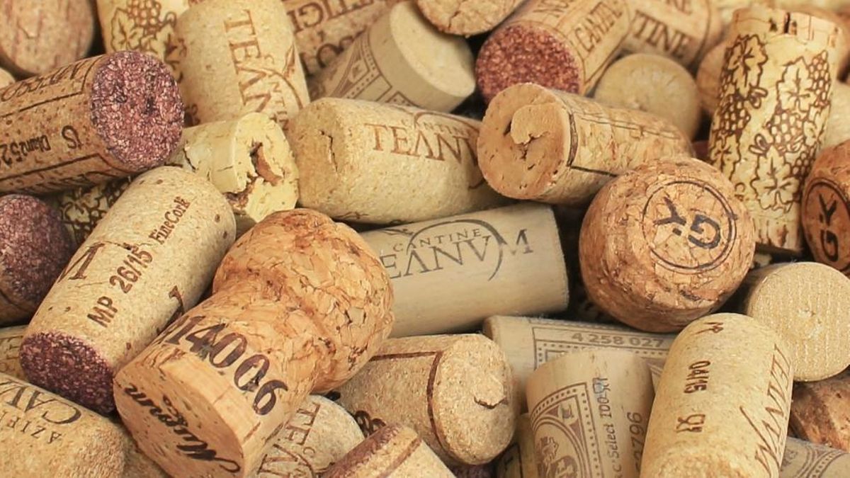 😳 ¿UN CORCHO DE VINO EN LA NEVERA? 

Parece una locura, pero este TRUCO CASERO soluciona un problema que todos tenemos en casa... 🍷❄️ 

Descubre cómo funciona 👉 ow.ly/EeiA50WrEsH

#FelizSábado