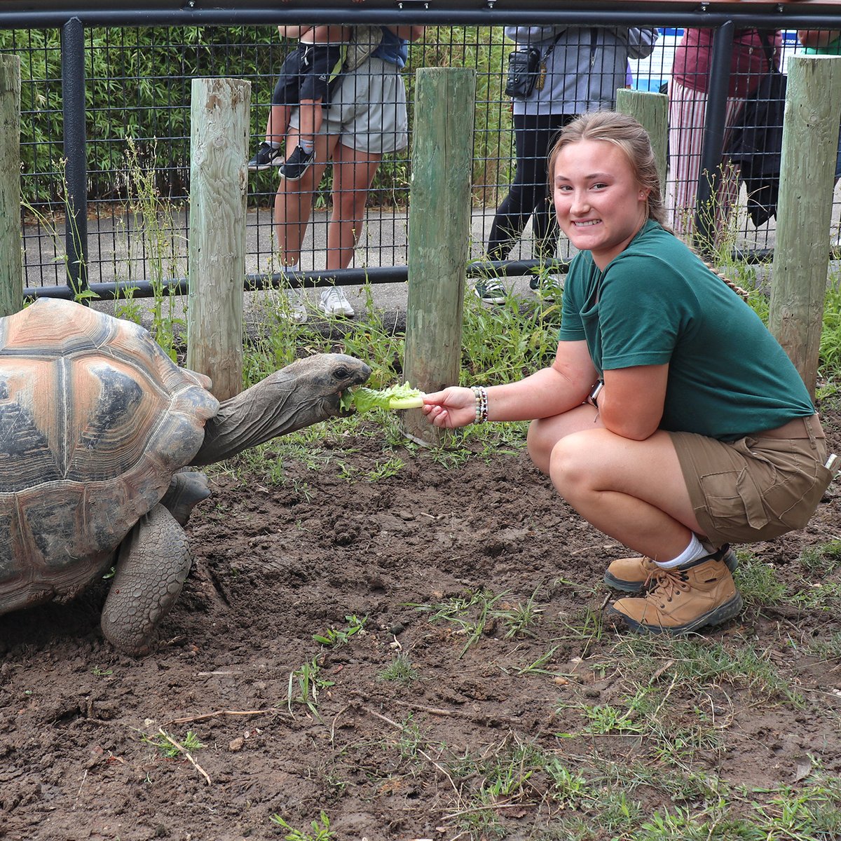 RHZoo's tweet image. 🐾 We’re spotlighting our amazing Keeper staff all week long! Have you been following along? Head to our Facebook or Instagram to see our daily posts. We just have today & tomorrow left to share the faces behind-the-scenes at #RollingHillsZoo! 💚 #NZKW2025 #NationalZookeeperWeek