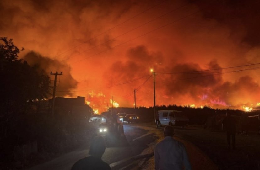 Ormanlarımız, şehirlerimiz çayır çayır yanıyor… En acı olanıysa, müdahalenin yetersizliği, yangınları söndürmek için yaşadığımız çaresizlik.  Bu kadar yangın tesadüf olamaz.

#bursayanıyor
#KarabükYanıyor
