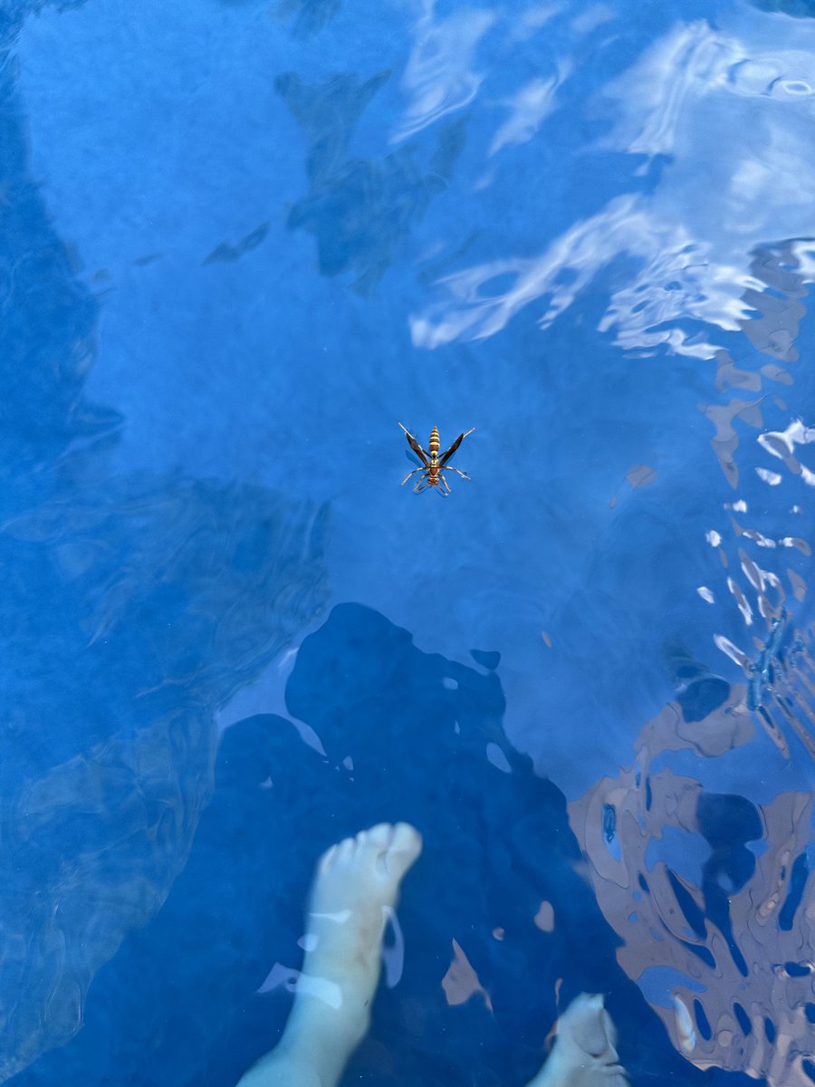 CosmosconBlog's tweet image. It’s a standoff.
