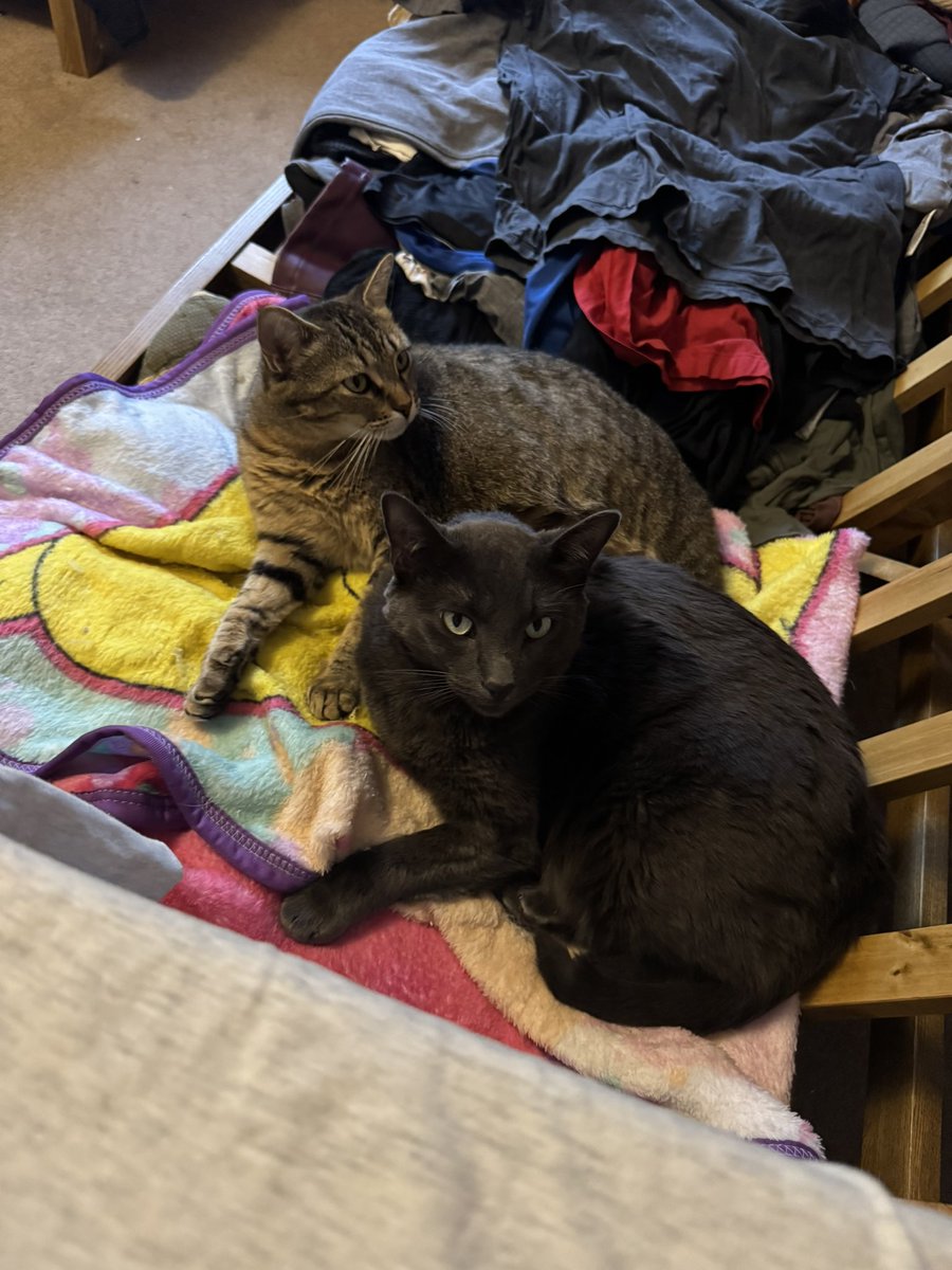 Jesse Cordova tweet media