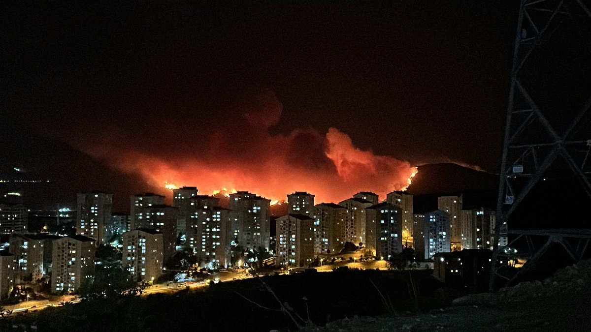 LordHonorr's tweet image. Vatan yanıyor yakılıyor her zerresinde can olan toprak can çekisiyor. #bursayanıyor #yangın
