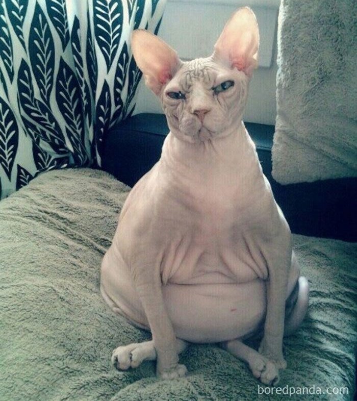 Shannxo's tweet image. Me rn sitting down on my bed after a hard day of walking around 3 shops 😭