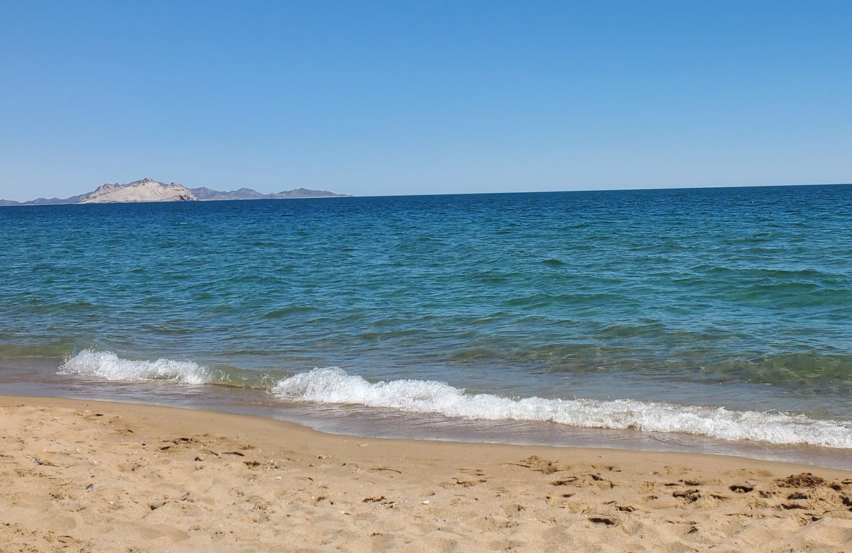 El Pala (@palafox_pacheco) on Twitter photo Los ciudadanos de #Hermosillo y sus visitantes de esta bella ciudad del 🌅 nos urge una carretera digna para ir a disfrutar las bellas playas de Kino y sus alrededores Alcalde <a href="/tonoastiazaran/">Antonio Astiazarán</a> urge una solución tiene una oportunidad en detonar la capital <a href="/HermosilloGob/">Gobierno de Hermosillo</a> Los ciudadanos de #Hermosillo y sus visitantes de esta bella ciudad del 🌅 nos urge una carretera digna para ir a disfrutar las bellas playas de Kino y sus alrededores Alcalde <a href="/tonoastiazaran/">Antonio Astiazarán</a> urge una solución tiene una oportunidad en detonar la capital <a href="/HermosilloGob/">Gobierno de Hermosillo</a>