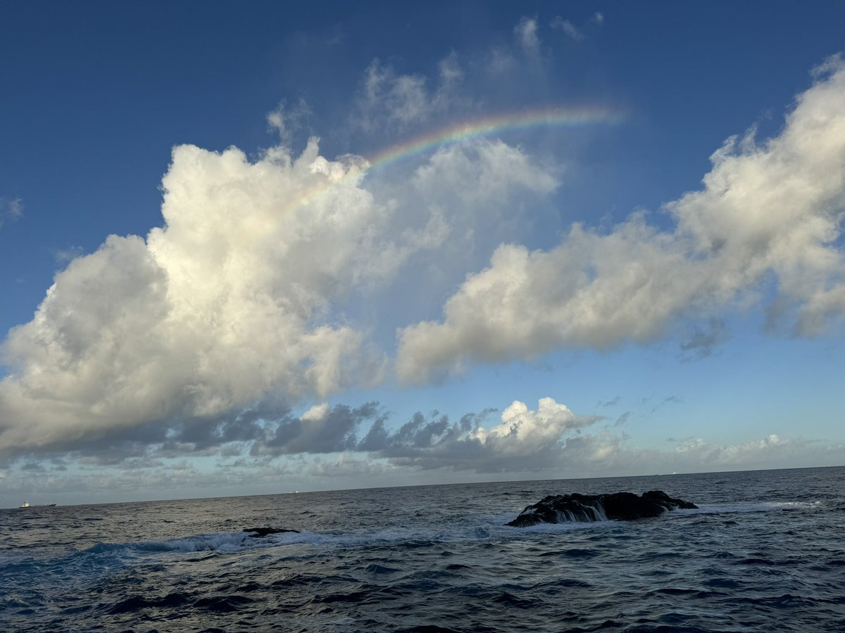 Mu08sw's tweet image. 