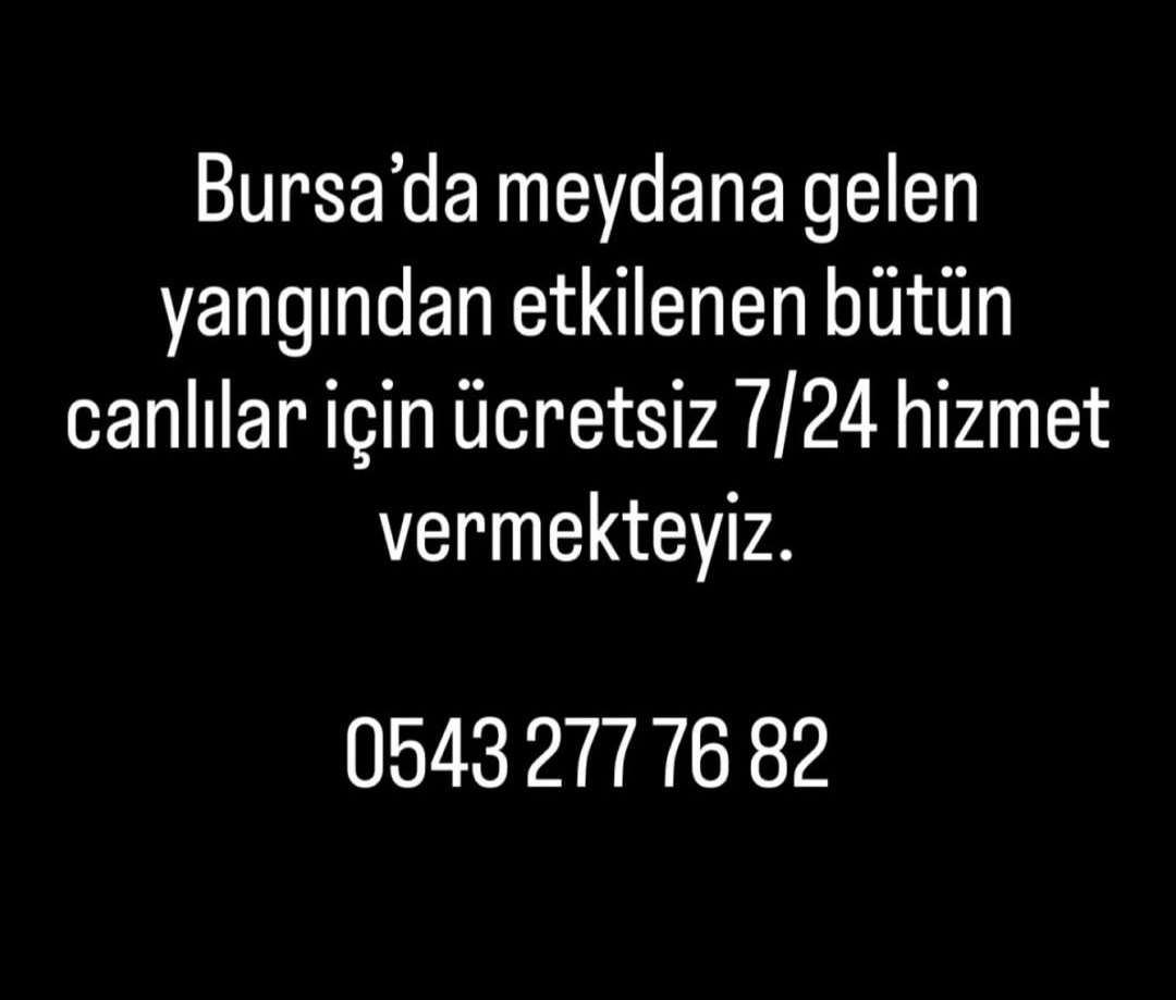 Bursa'daki yangına müdahale eden ekiplere destek olmak ve yangından etkilenen her canlıya hizmet veren gönüllülerle iletişime geçmek için bu numaraları arayabilirsiniz
#bursayanıyor #ormanyangını
