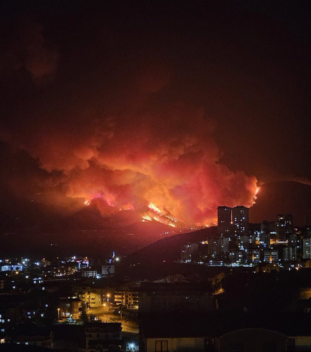 efelercanlari's tweet image. ULKE YANIYOR 😢😢
Hiç düşündünüz mü? Bu kadar orman yandıktan sonra bölgenin iklimsel yapısı nasıl olacak?
Bu kadar ormanlık alan, milyarlarca böcek türü, hayvanlar...
Ekosistem yok oluyor...😢😢😢😢😢😢