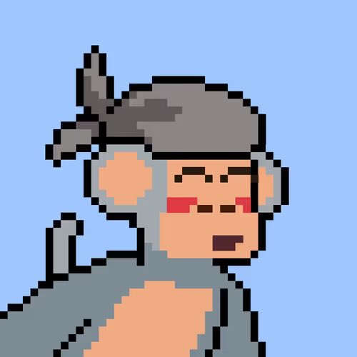 tylerdurdeth's tweet image. Seeing a lot of new potential @ChimpersHQ buyers on the TL.
It is actually a great time to join, as the recent sweeps have brought some incredible gems to the floor.
Be quick before the sellers adjust their price 👀