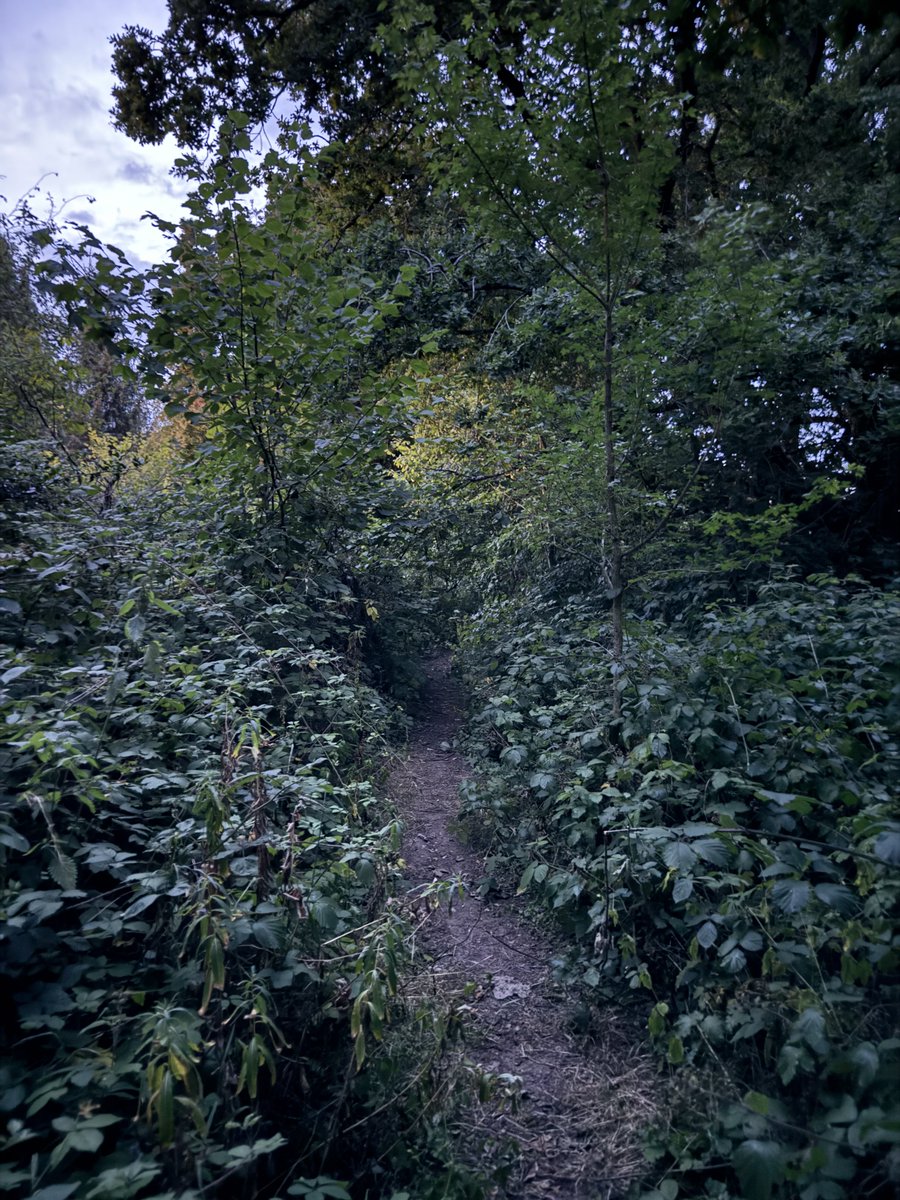 Not Fortnite replying to me while I’m in the forest I almost fell from the jump scare