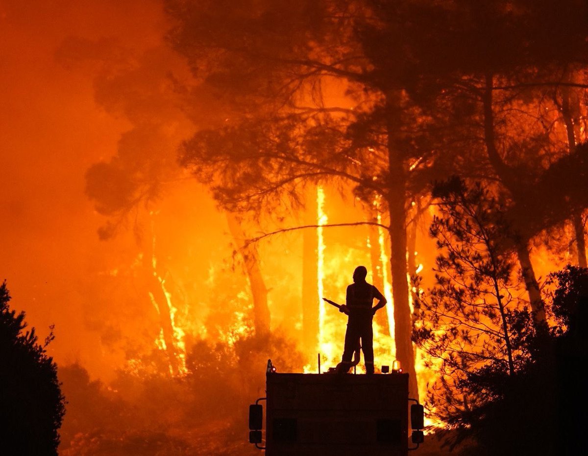 🌲 ORMAN VATANDIR, YAKILAMAZ! 🔥

Karabük-Ankara yolu ulaşıma kapandı, Bursa cayır cayır yanıyor!
Cennet vatanımızın akciğerleri bir bir yanıyor, geleceğimiz kül oluyor!

Ormanlarımızı kasten yakan, doğayı ve canlıları katleden bu insanlık dışı eylemleri asla affetmemeliyiz.
Bu