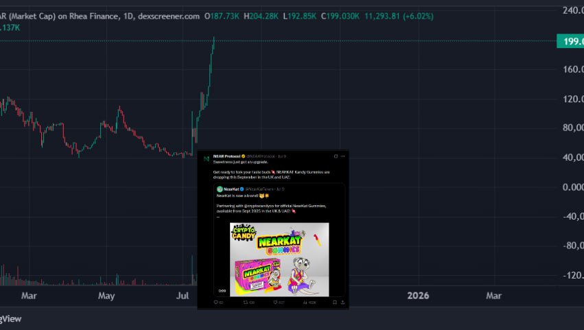 viba235's tweet image. 1/ been watching this $KAT meme on NEAR for weeks now...
ngl my gut says this could be the one to kick off the next NEAR meme cycle .
