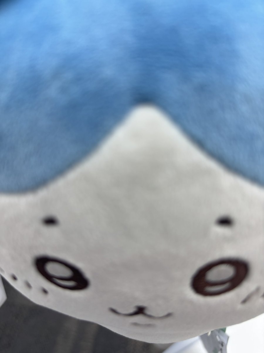 offpridbird's tweet image. Having a disability is like a FastPass tbh
I’m like 4 hours ahead on the panel line just for being silly in the body