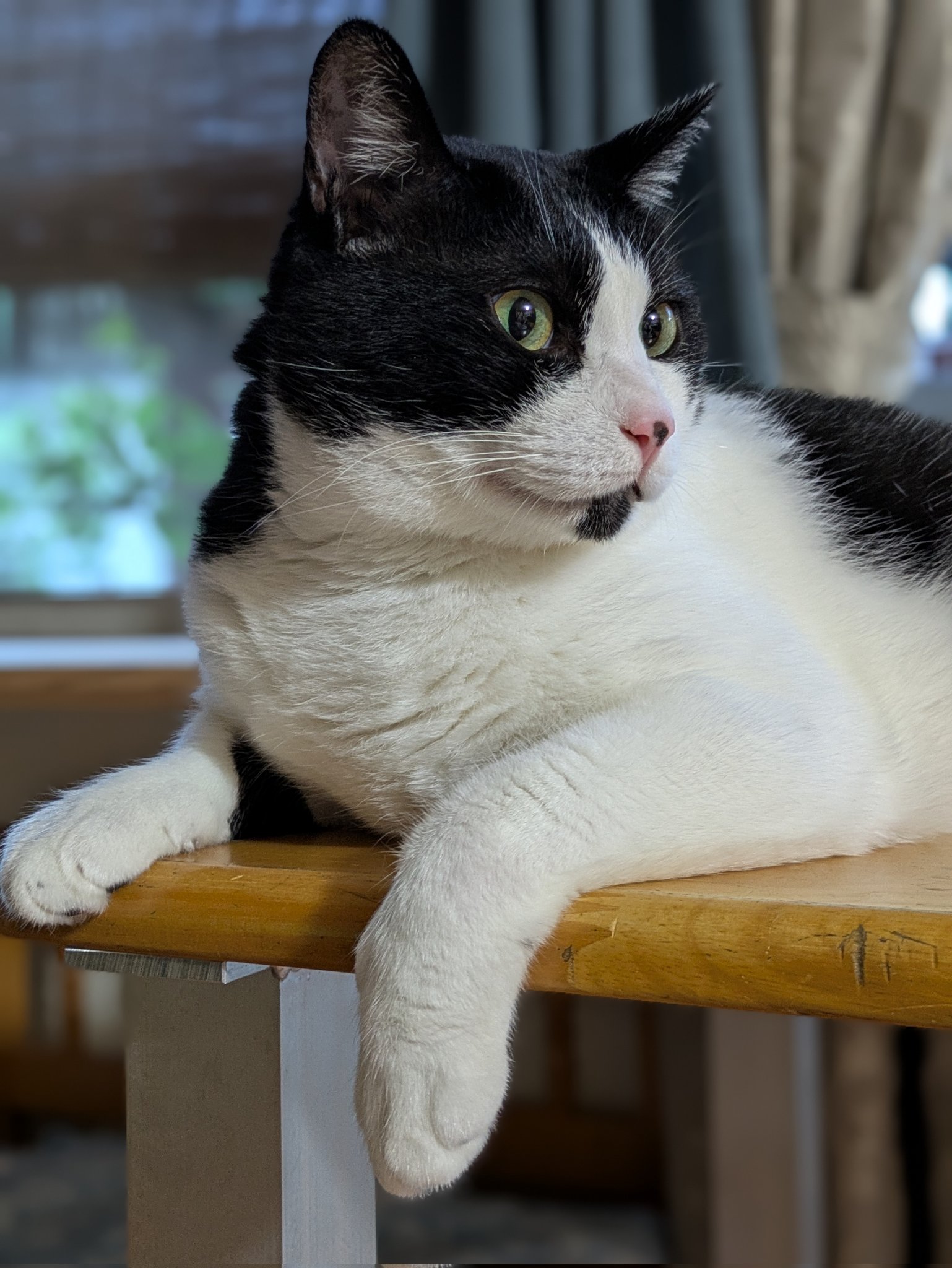 ⭕️黒猫さん専用　検討中 Kosuke | AWS Community Builder on X: 