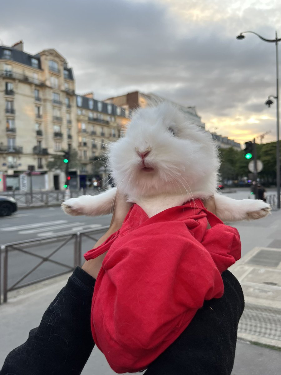 grosnibards695's tweet image. Mon amour