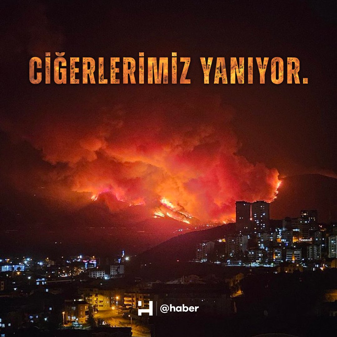 #Ciğerlerimizyanıyor