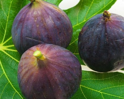 headhort's tweet image. 