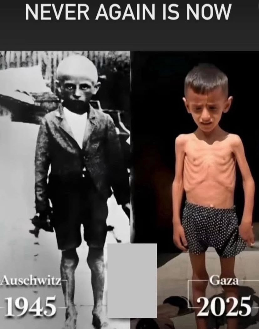 RajeshHolmen's tweet image. Når verdens førende holocaust- og folkedrabsforskere trækker en direkte linje mellem Holocaust og #Gaza - og dokumenterer, hvordan en stats historiske offerstatus i dag bruges som skjold for en systematisk udslettelse af et andet folk - er det altafgørende, at vi både mindes…