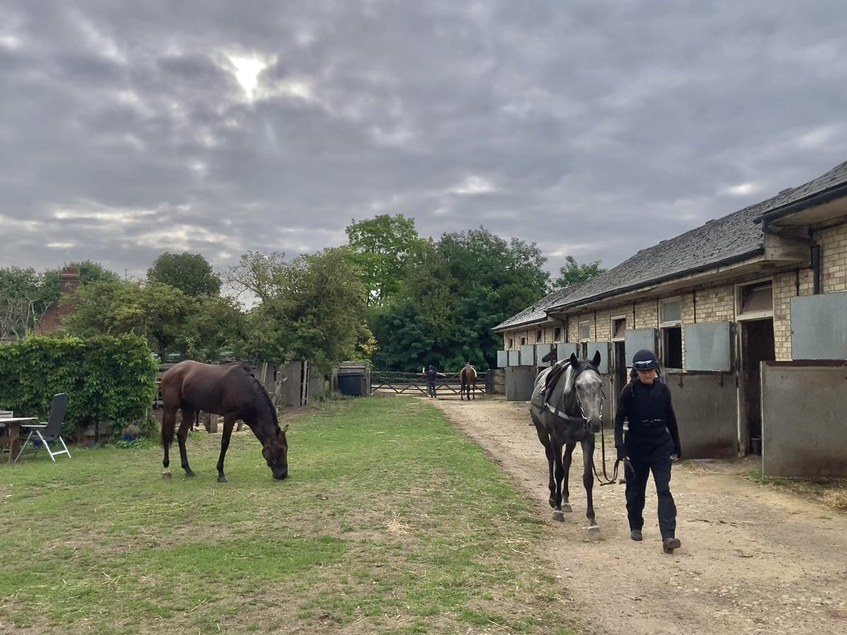 JohnWathenBerry's tweet image. It was overcast in Newmarket this morning but warm & dry; quite a lot of rain this afternoon. Currently 20 degrees.