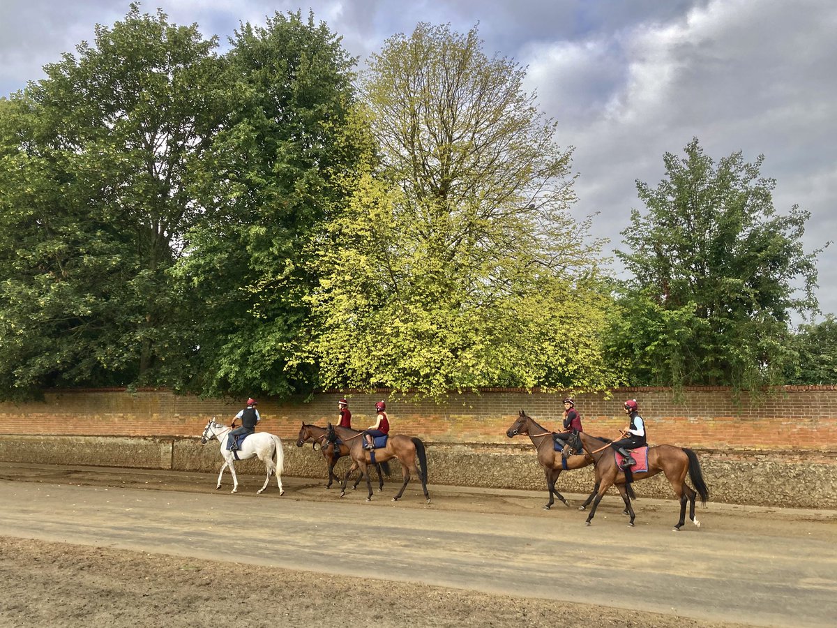 JohnWathenBerry's tweet image. It was overcast in Newmarket this morning but warm & dry; quite a lot of rain this afternoon. Currently 20 degrees.