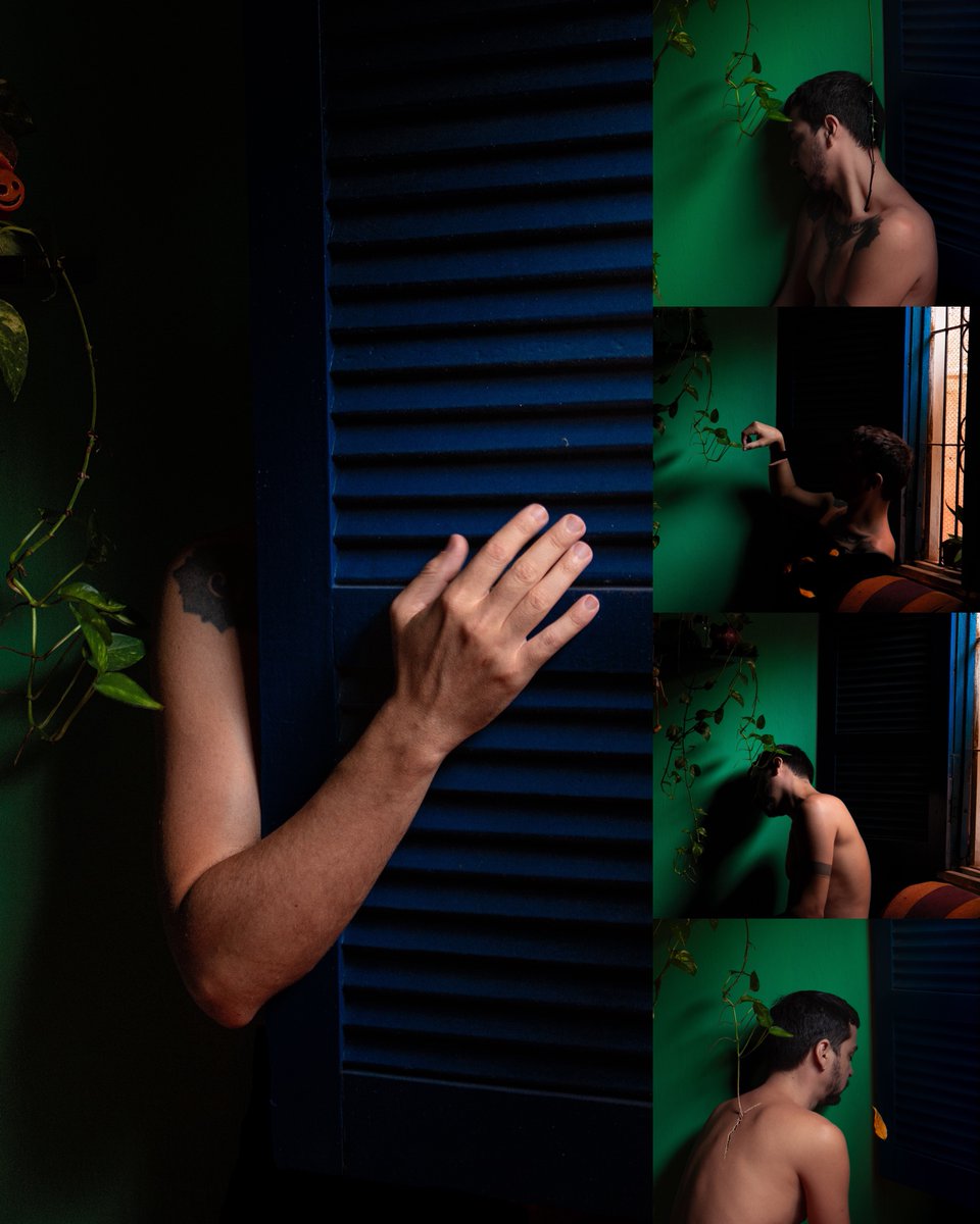 fenelonff's tweet image. Maybe this is what plants know and we forget:
that life bends just to reach the smallest trace of light.
Phototropism is the movement of plants reaching for light.
Intimate Phototropism grows from the same root.
In the room of myself, everything is learning to grow in the dark