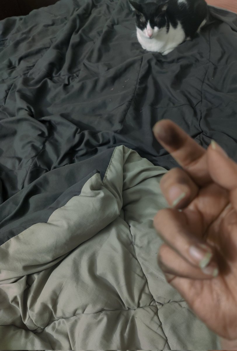 The world of black and white