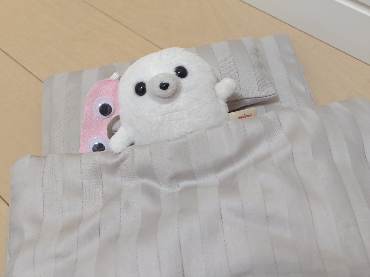 gomanosuke613's tweet image. おやすみ🌙