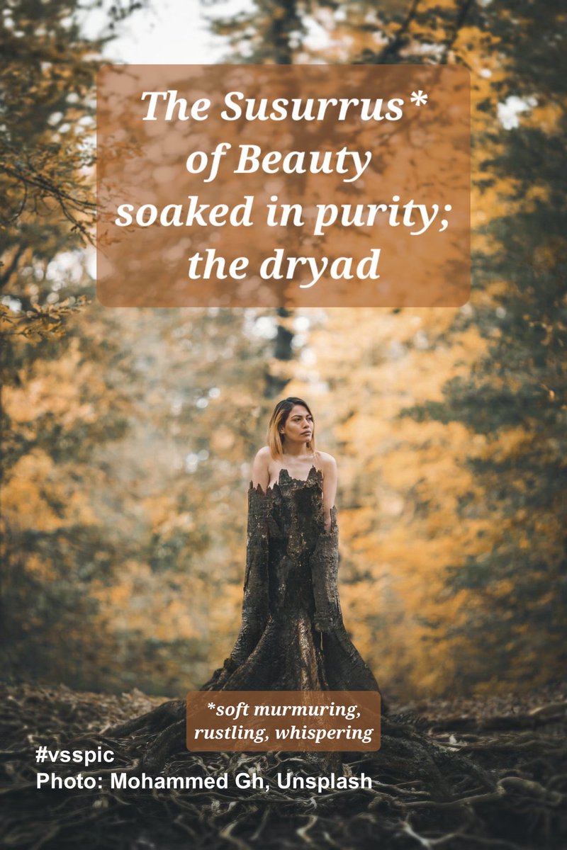 Morgan_R_R_Haze's tweet image. #vsspic #Vss365 #VssCreative #PositivelyPrompting #15
The Susurrus* of Beauty soaked in purity; the dryad
*soft murmuring, rustling, whispering
Mohammed Gh unsplash.com