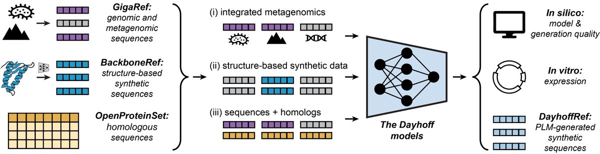 avapamini's tweet image. thrilled to share The Dayhoff Atlas of protein language data and models 🚀 protein biology in the age of AI!
aka.ms/dayhoff/prepri…
we built + open source the largest natural protein dataset, w/ 3.3 billion seqs & a first-in-class dataset of structure-based synthetic proteins