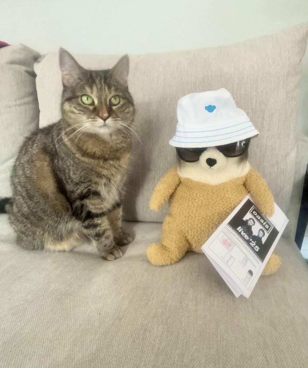 Tweet media one