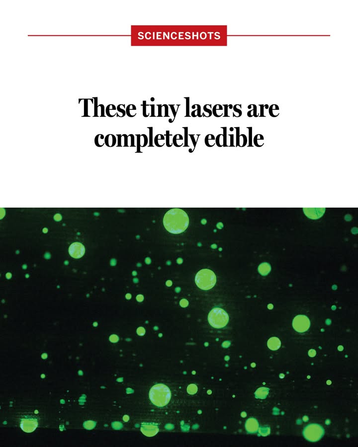 NewsfromScience's tweet image. Bon appétit, Jedis.
Scientists have created the first lasers made entirely from edible materials, which could someday help monitor and track the properties of foods and medications with sensors that can be harmlessly swallowed: scim.ag/44HD7sR