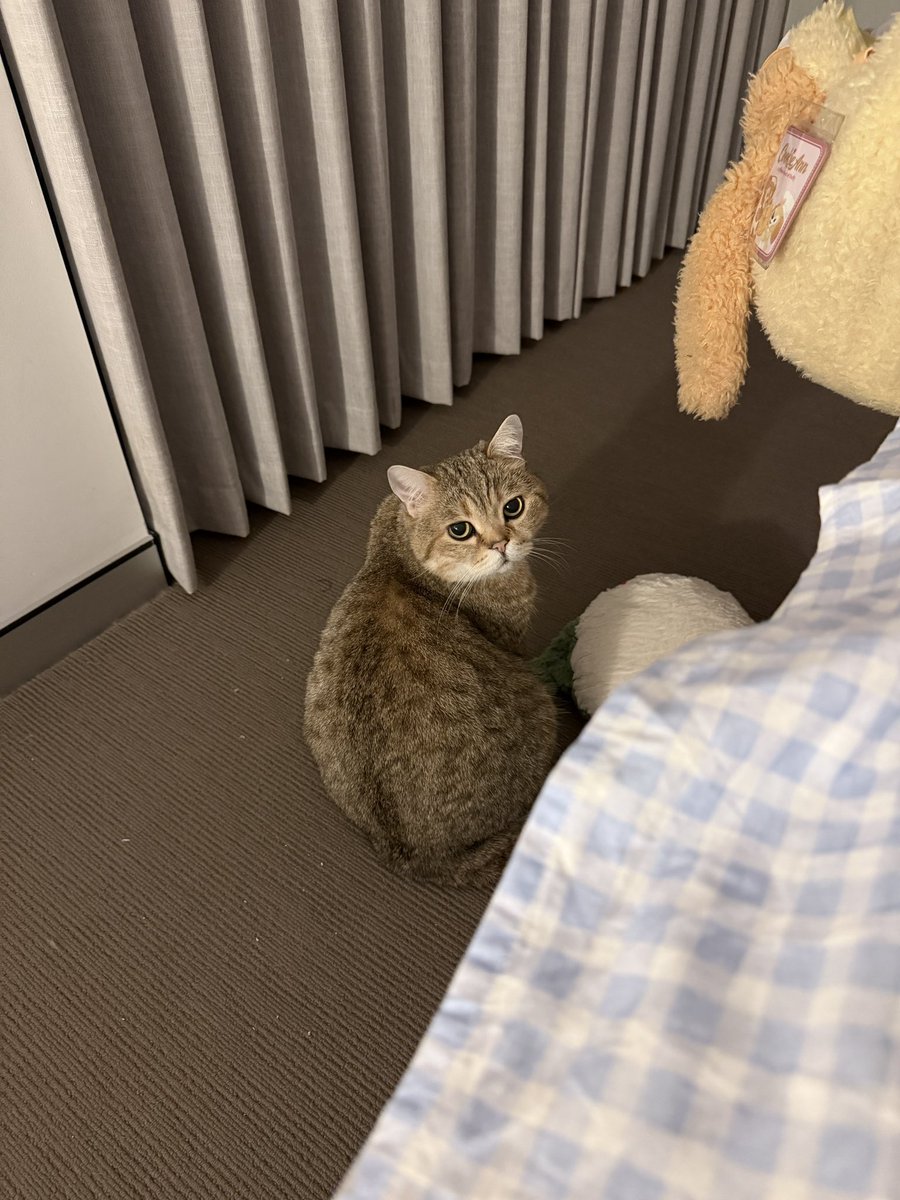 像一个足球⚽️ 想踢他屁股一脚