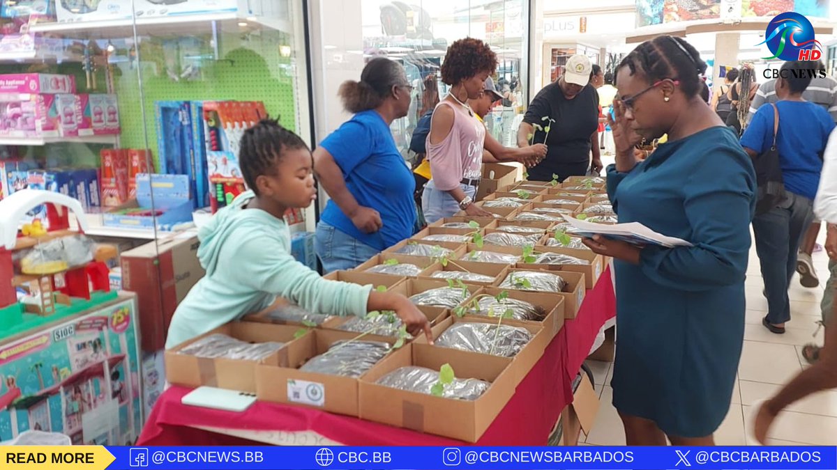 CBCBARBADOS's tweet image. As part of its Green Skills Project, the Barbados Boy Scouts Association today distributed free home garden starter kits to passersby at Sky Mall.
Photos: Christopher Wood
#CBCNewsBarbados