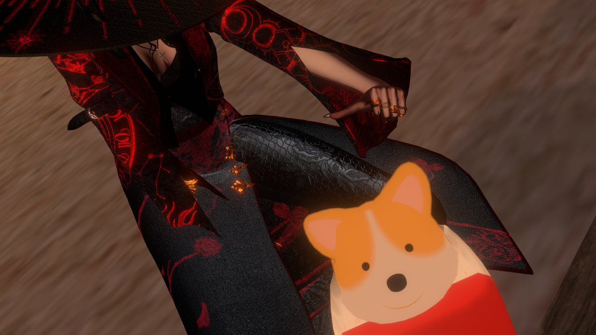 CONNECT_1112's tweet image. #VRC_CONNECT
①かわいい
②ねてた
③つよそうな🐶