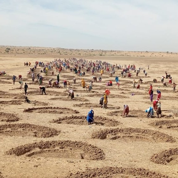 NigerAR's tweet image. Zinder/PSP/PAM: 150 hectares de terre récupérés et mis en valeur de Décembre 2024 à Mai 2025 à Gagawa
La restauration de l’environnement est un pari possible, et les communautés du village de Gagawa (commune de Gangara), l’ont démontré. En effet, sur leur site, 766 ménages ont…