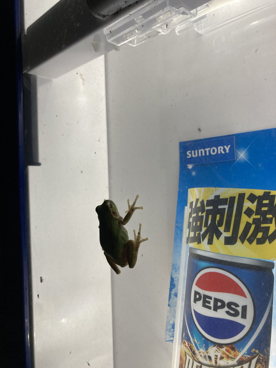 t_soyama's tweet image. ミッションと足回り触って勉強になりました。整備は基本腹立つけど楽しい