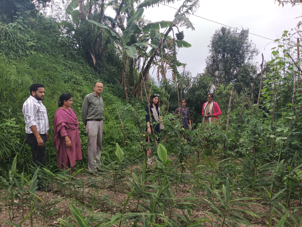 REAPNainital's tweet photo. A joint inspection made today with APD Mam and team of REAP &amp; USRLM to village Jangaliagaon reg Virasat project । 3 traditional houses were visited but less potential seen for developing them as homestays। Also visited individual seving enterprise।
@REAPNainital @REAPUttarakhand https://t.co/JJAFJXT2vY