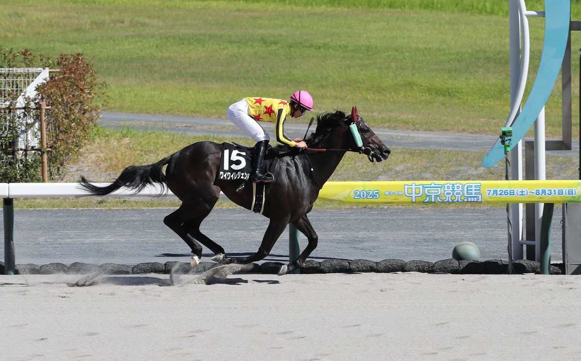 netkeiba's tweet image. 中京4R 2歳新馬 芝1400
#マイケルバローズ
#川田将雅
父ロードカナロア
母アルーリングハート
中京6R 四日市特別 3歳上2勝
#ワイワイレジェンド
#高杉吏麒
父ダノンレジェンド
母ミッシェルラブ
元競輪選手の山田裕仁オーナーは2017年タイランドC(オフクヒメ)以来のJRA特別勝ち。