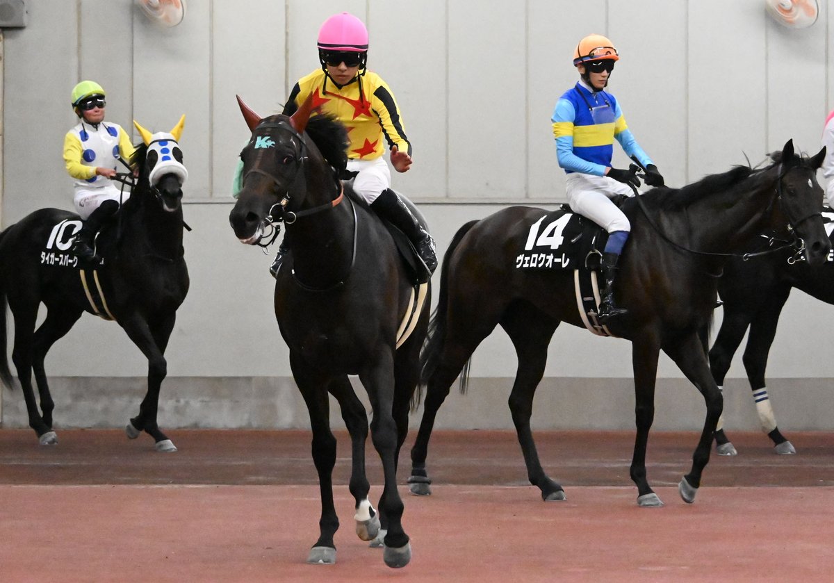 netkeiba's tweet image. 中京4R 2歳新馬 芝1400
#マイケルバローズ
#川田将雅
父ロードカナロア
母アルーリングハート
中京6R 四日市特別 3歳上2勝
#ワイワイレジェンド
#高杉吏麒
父ダノンレジェンド
母ミッシェルラブ
元競輪選手の山田裕仁オーナーは2017年タイランドC(オフクヒメ)以来のJRA特別勝ち。